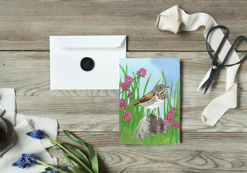 Red Clover Hermit Thrush Note Card