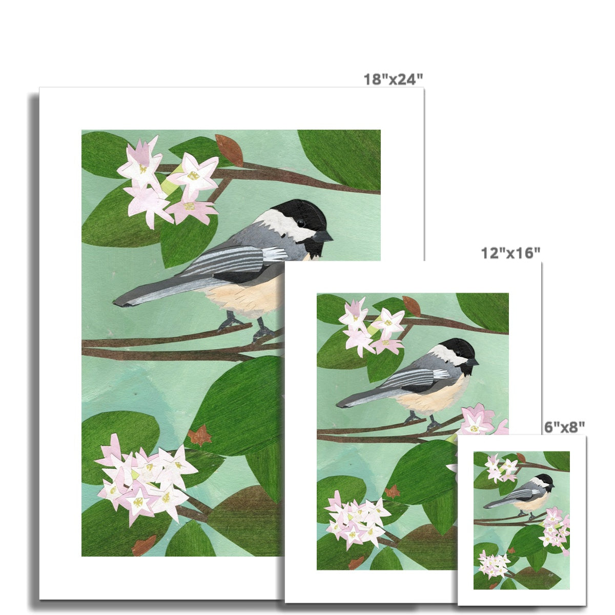 Mayflower Chickadee