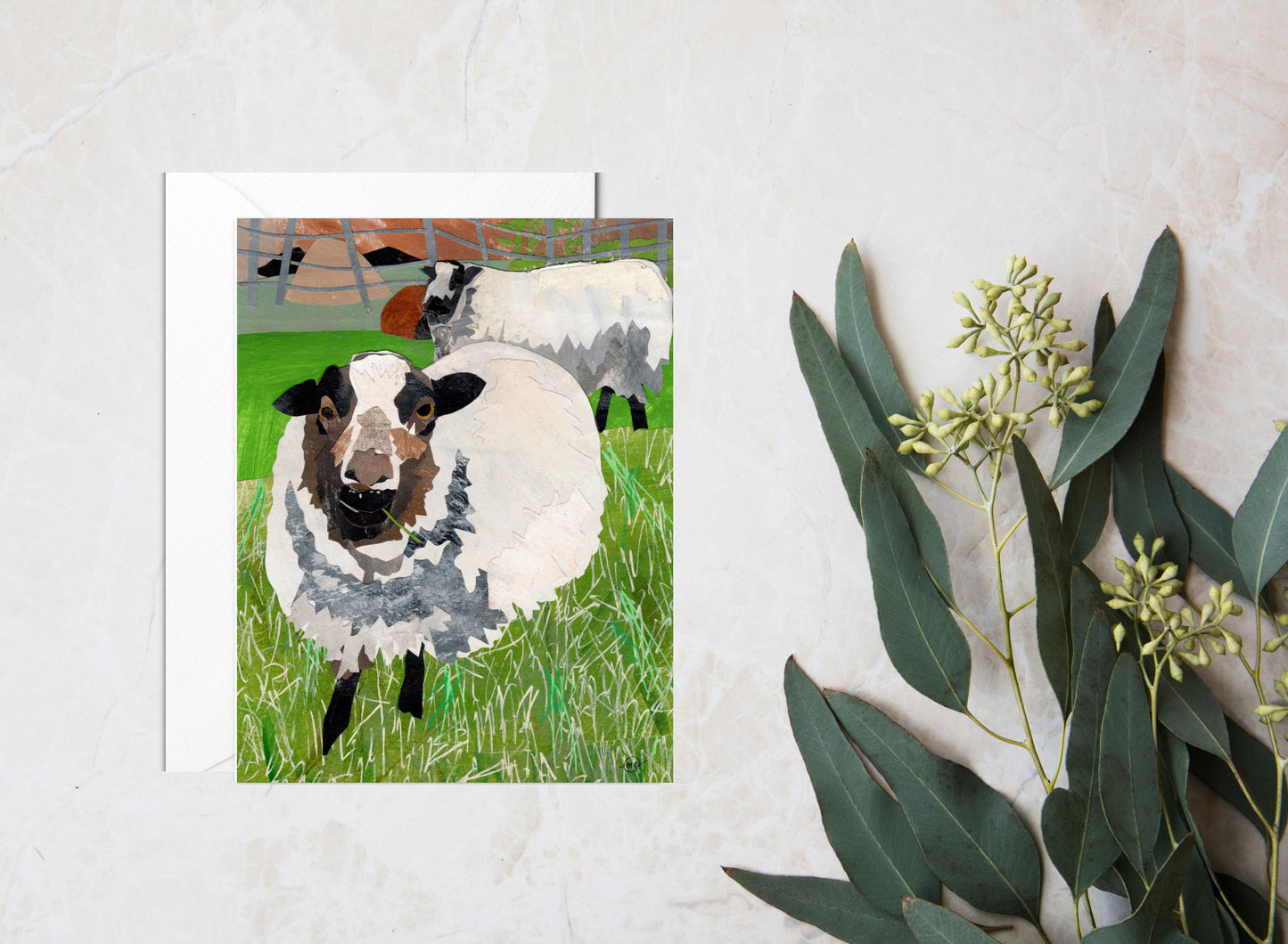 Grazing in the Grass Note Card