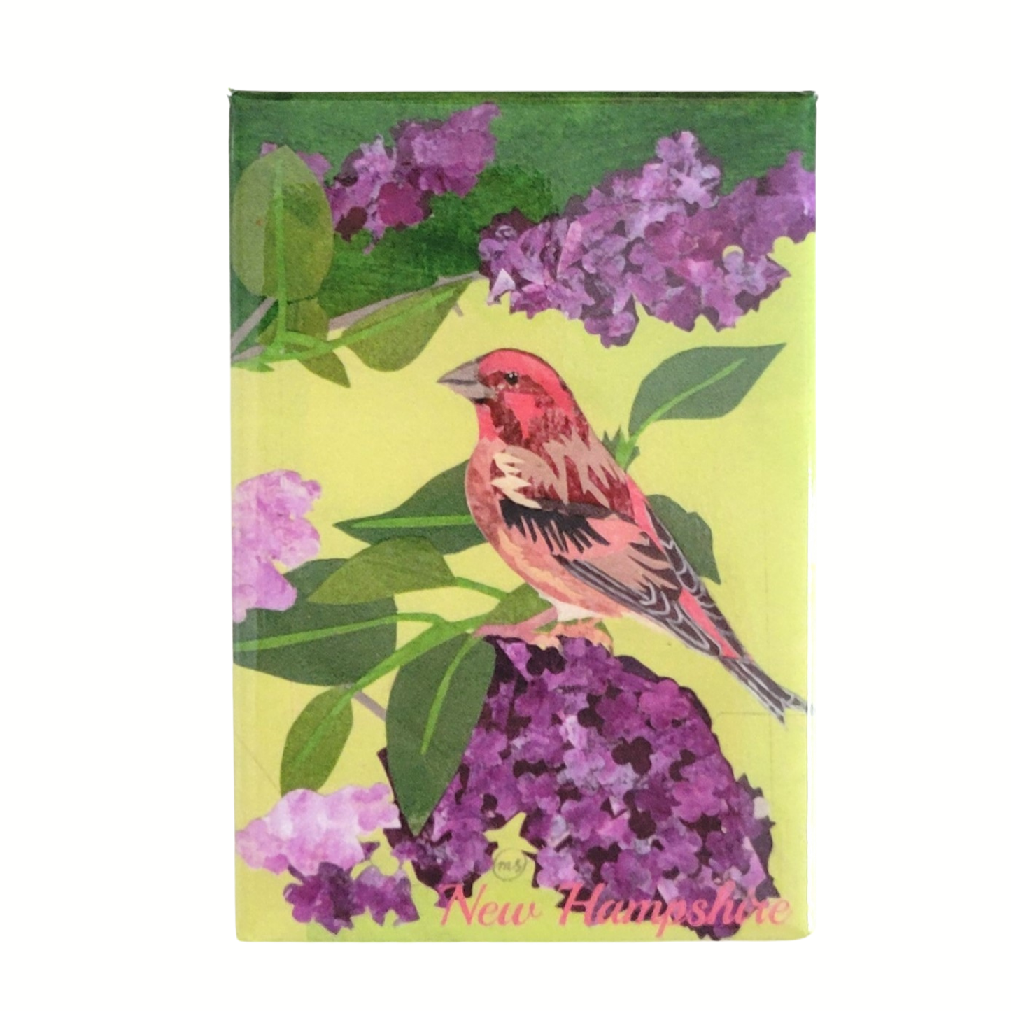 Lilac Purple Finch NH Magnet