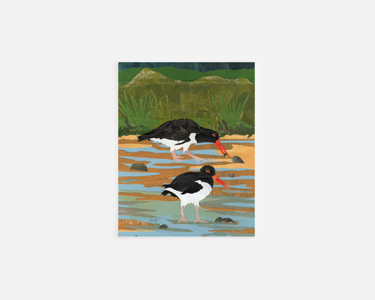 Oystercatchers Note Card