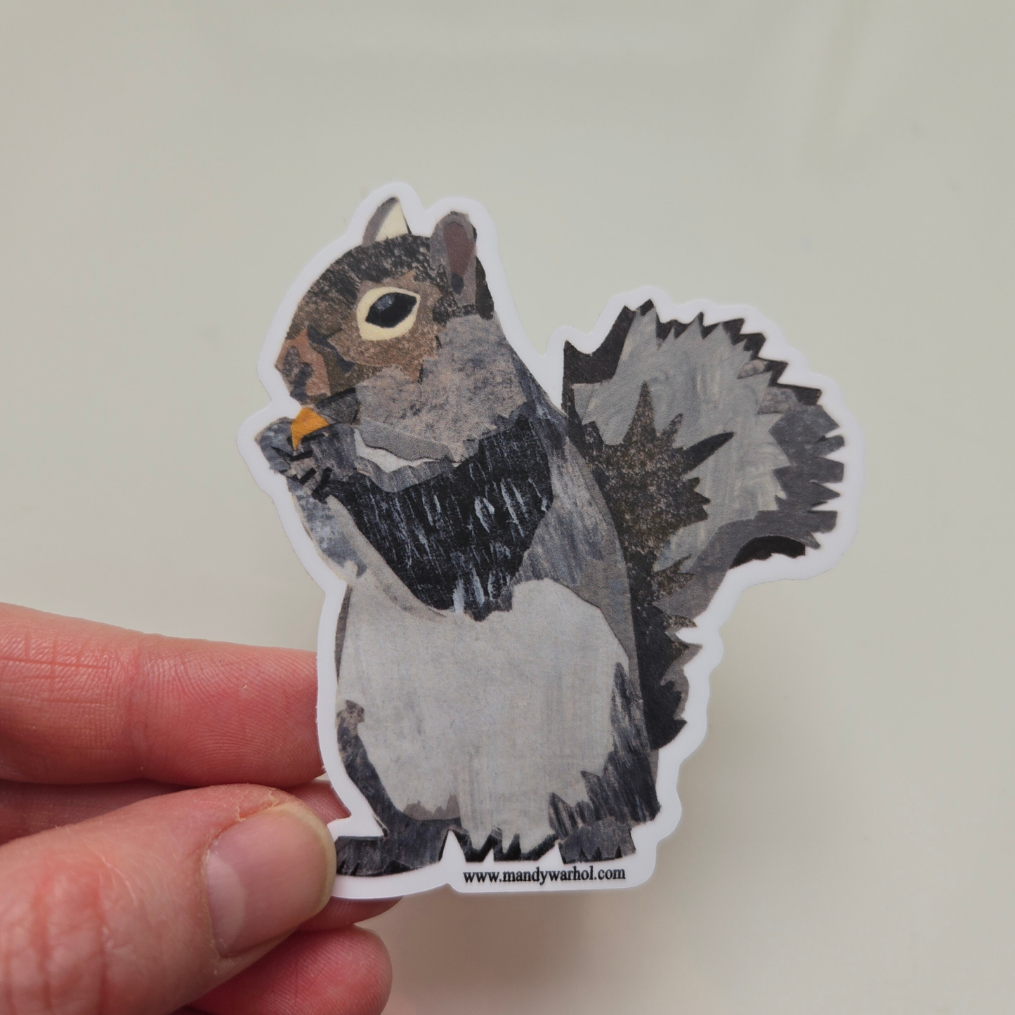 Squirrel Sticker