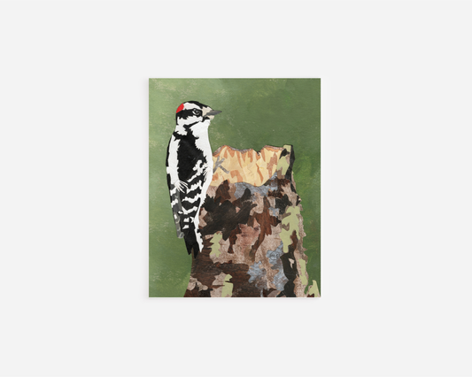 Woodsy Woodpecker Note Card