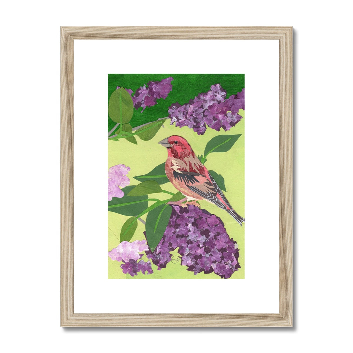 Lilac Purple Finch Framed & Matted Print