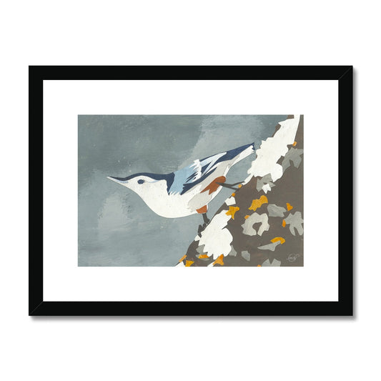Nuthatch Framed & Matted Print