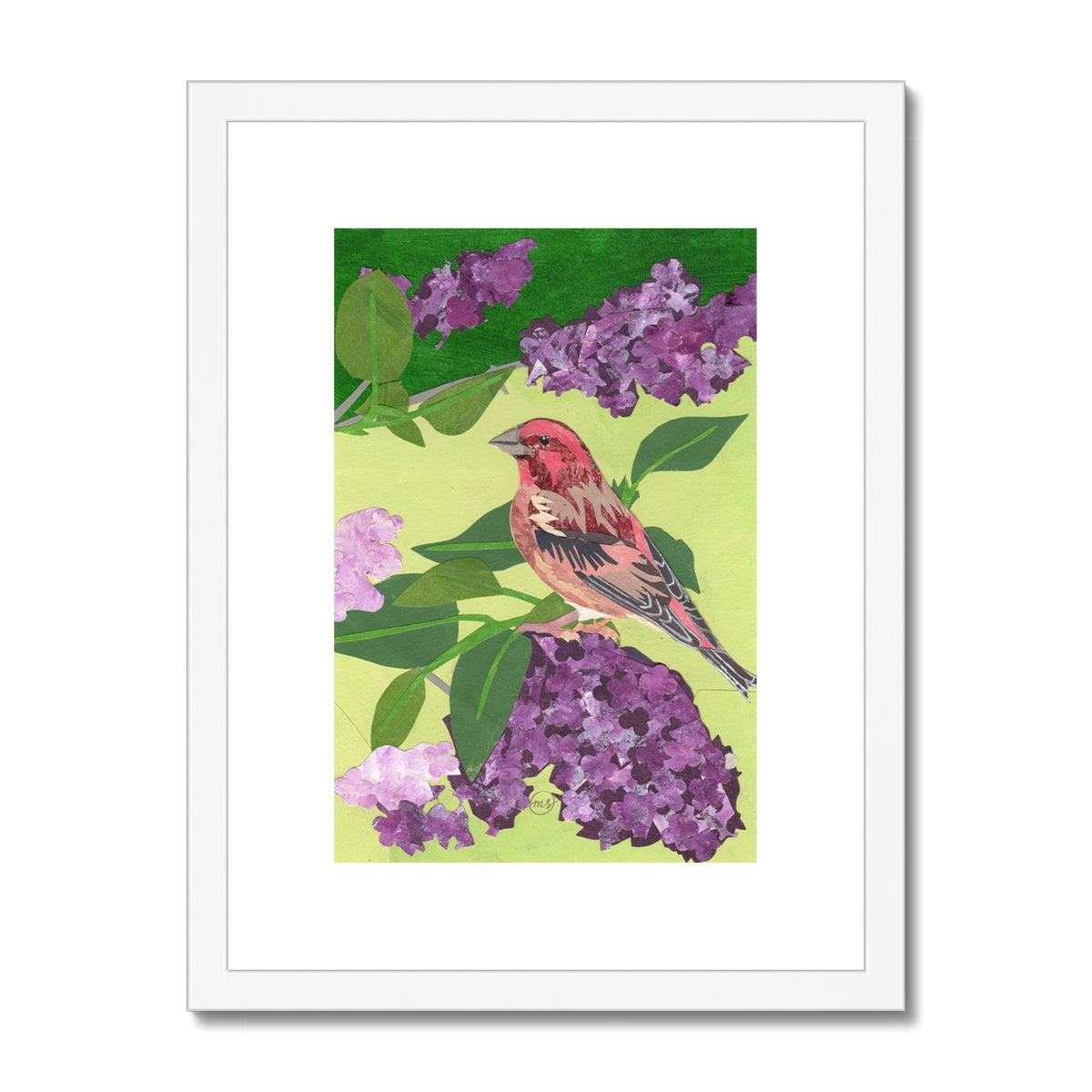 Lilac Purple Finch Framed & Matted Print